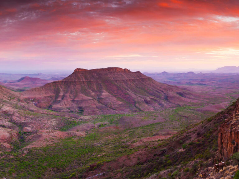  - Terre d'afrique