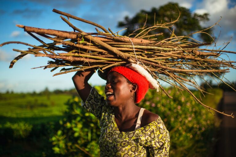  - Terre d'afrique