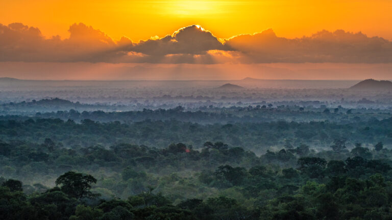  - Terre d'afrique