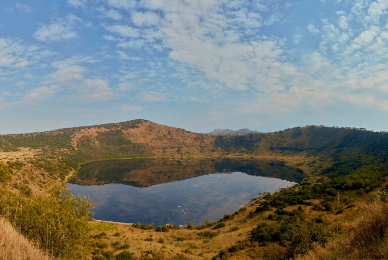  - Terre d'afrique