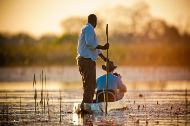  - Terre d'afrique